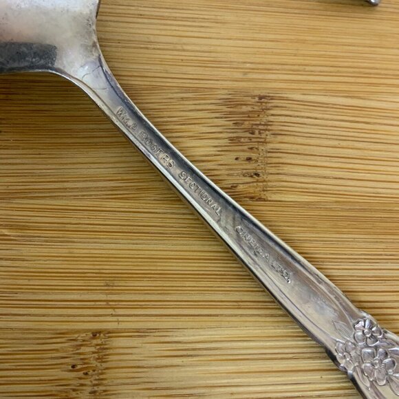 Wm A Rogers Oneida Valley Rose 1956 Set of 5 Teaspoons Silver Plate Discontinued - Picture 4 of 4